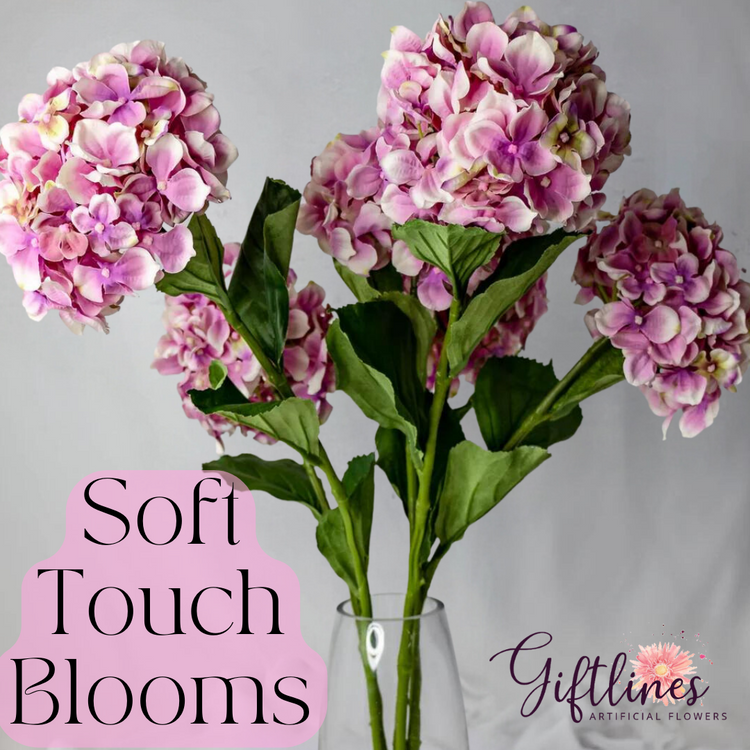 Soft Touch Blooms