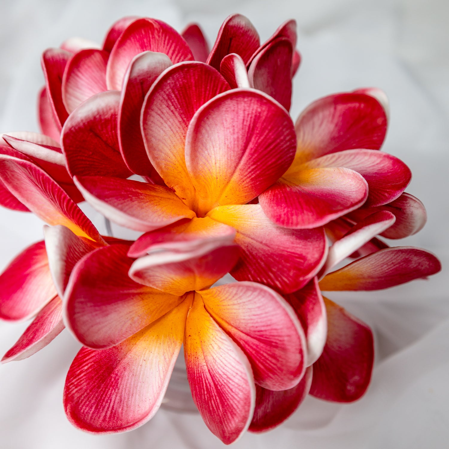 Frangipani Flowerhead - Realistic Artificial Flowers