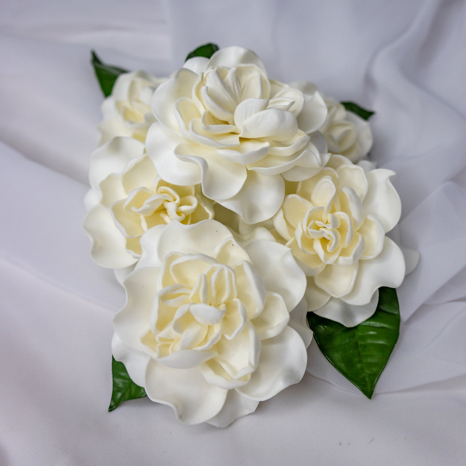 Gardenia