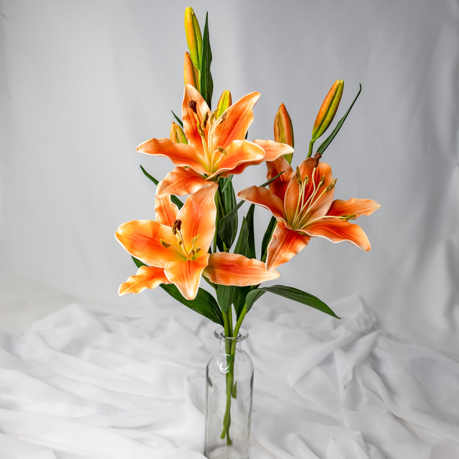 Asiatic Lily Stem Small