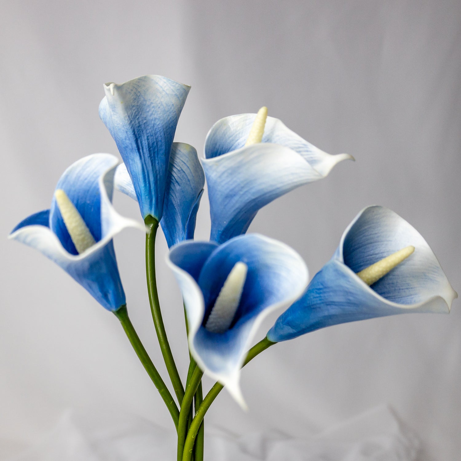 Mini Calla Lily