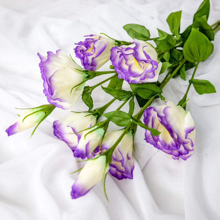 Lisianthus