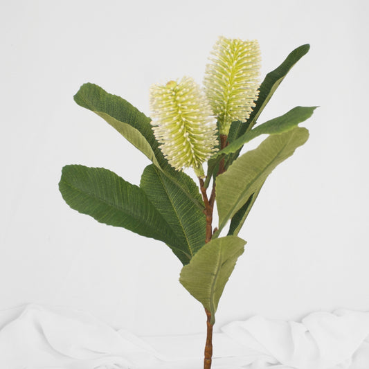 Banksia Spray White - Realistic Artificial Flowers