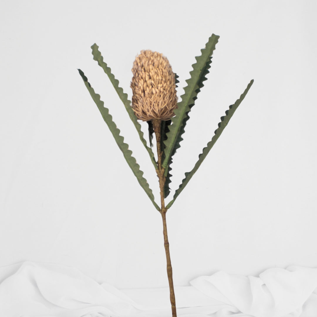 Mini Banksia Cream - Realistic Artificial Flowers