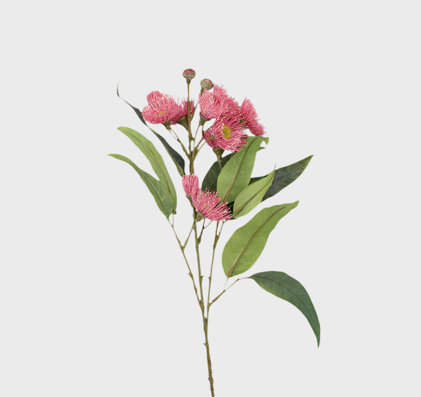 Australian Pink Gum Blossom Stem - Realistic Artificial Flowers