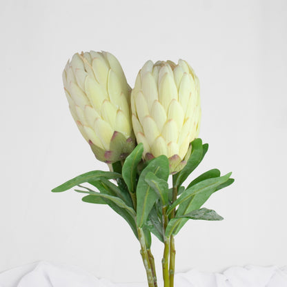 White Protea Stem / Pink Ice - Realistic Artificial Flowers