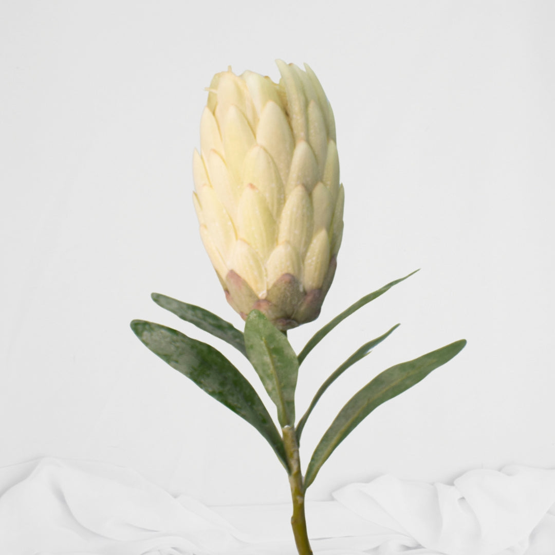 Protea Stem White  - Realistic Artificial Flowers