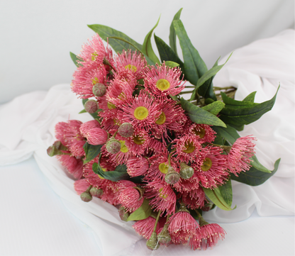 Australian Pink Gum Blossom Stem - Realistic Artificial Flowers