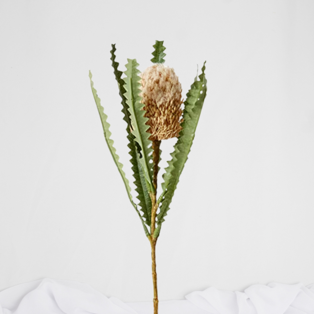 Mini Banksia Cream - Realistic Artificial Flowers