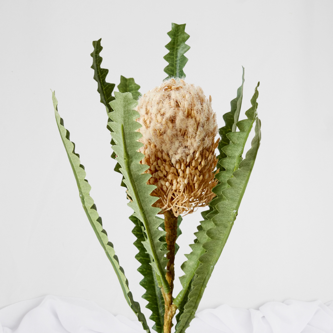 Mini Banksia Cream - Realistic Artificial Flowers