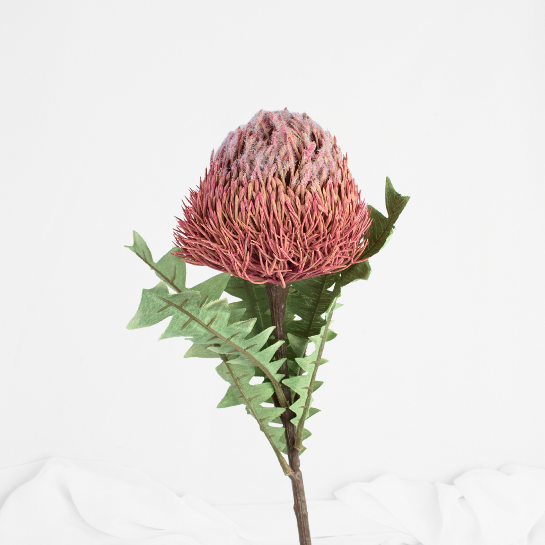 Banksia Baxteri Dusty Pink- Realistic Artificial Flowers