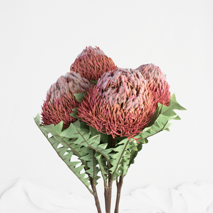 Banksia Baxteri Dusty Pink- Realistic Artificial Flowers