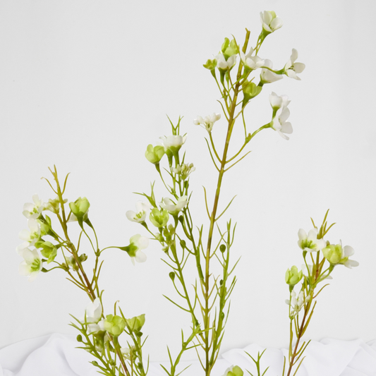 Wax Flower Spray White - Realistic Artificial Flowers
