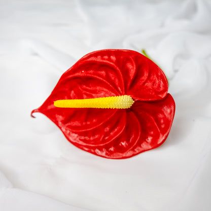 Anthurium Small Red  - Realistic Artificial Flowers