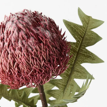 Banksia Baxteri Dusty Pink- Realistic Artificial Flowers