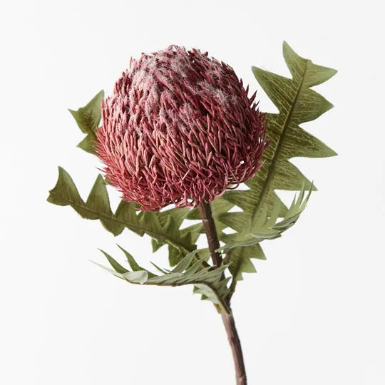 Banksia Baxteri Dusty Pink- Realistic Artificial Flowers