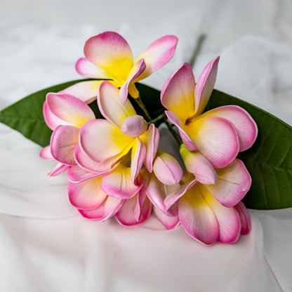 Classic Pink Frangipani Bunch - Realistic Artificial Flowers