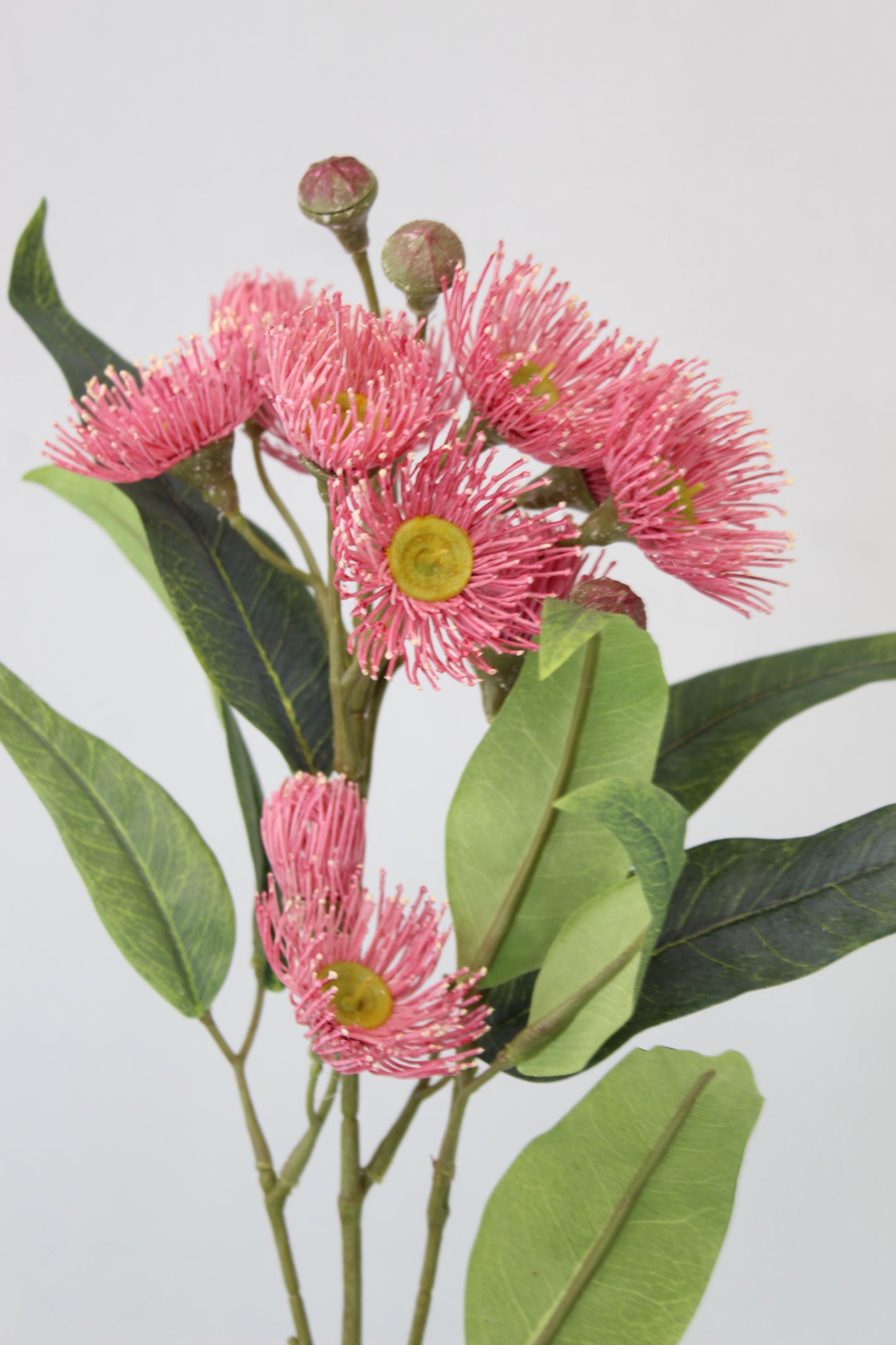 Australian Pink Gum Blossom Stem - Realistic Artificial Flowers