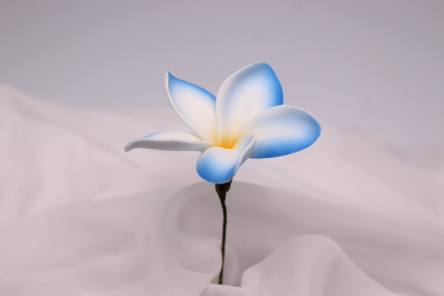 Blue Horizon Frangipani Real Touch ( 6 Pack ) - Realistic Artifical Flowers