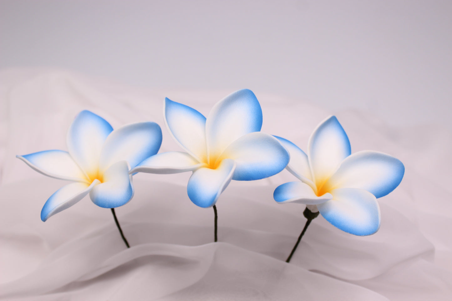 Blue Horizon Frangipani Real Touch ( 6 Pack ) - Realistic Artifical Flowers