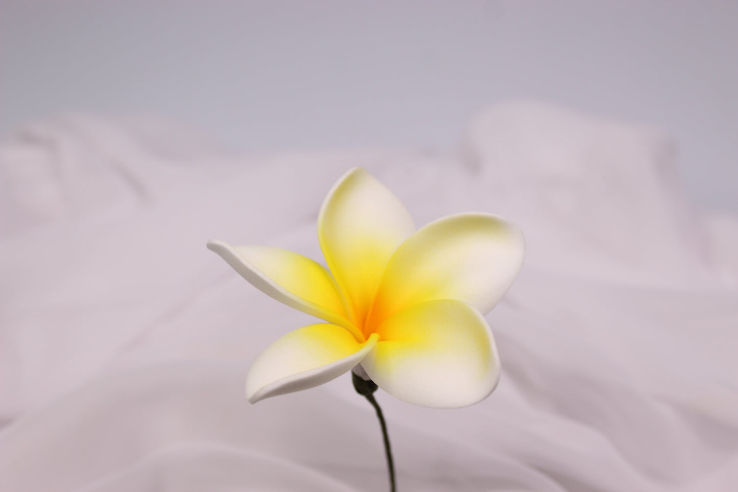 Lemon Glow Frangipani Real Touch ( 6 Pack ) - Realistic Artifical Flowers