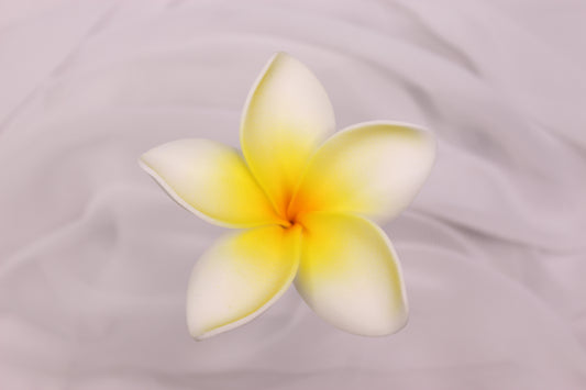 Lemon Glow Frangipani Real Touch ( 6 Pack ) - Realistic Artifical Flowers