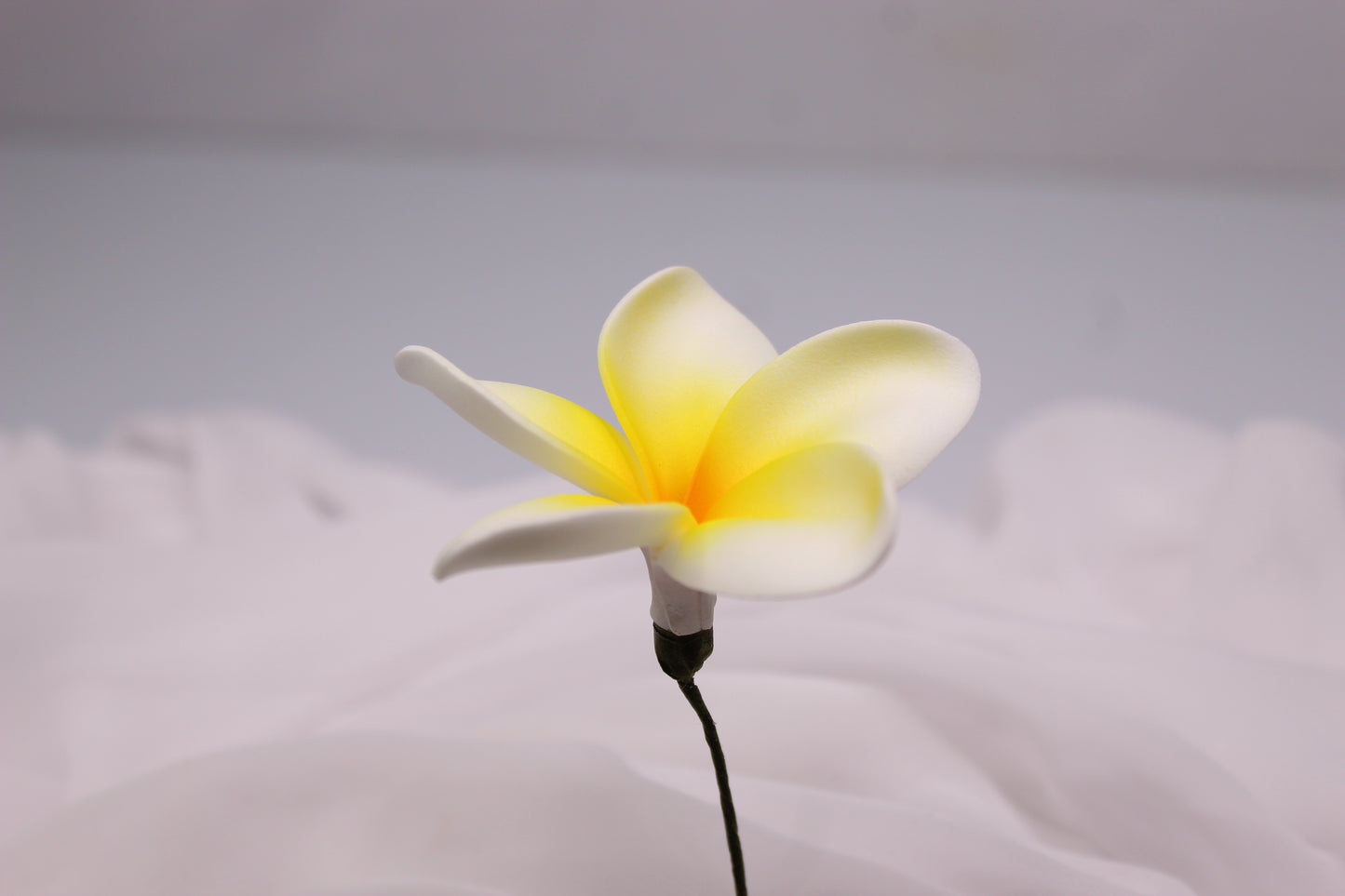 Lemon Glow Frangipani Real Touch ( 6 Pack ) - Realistic Artifical Flowers