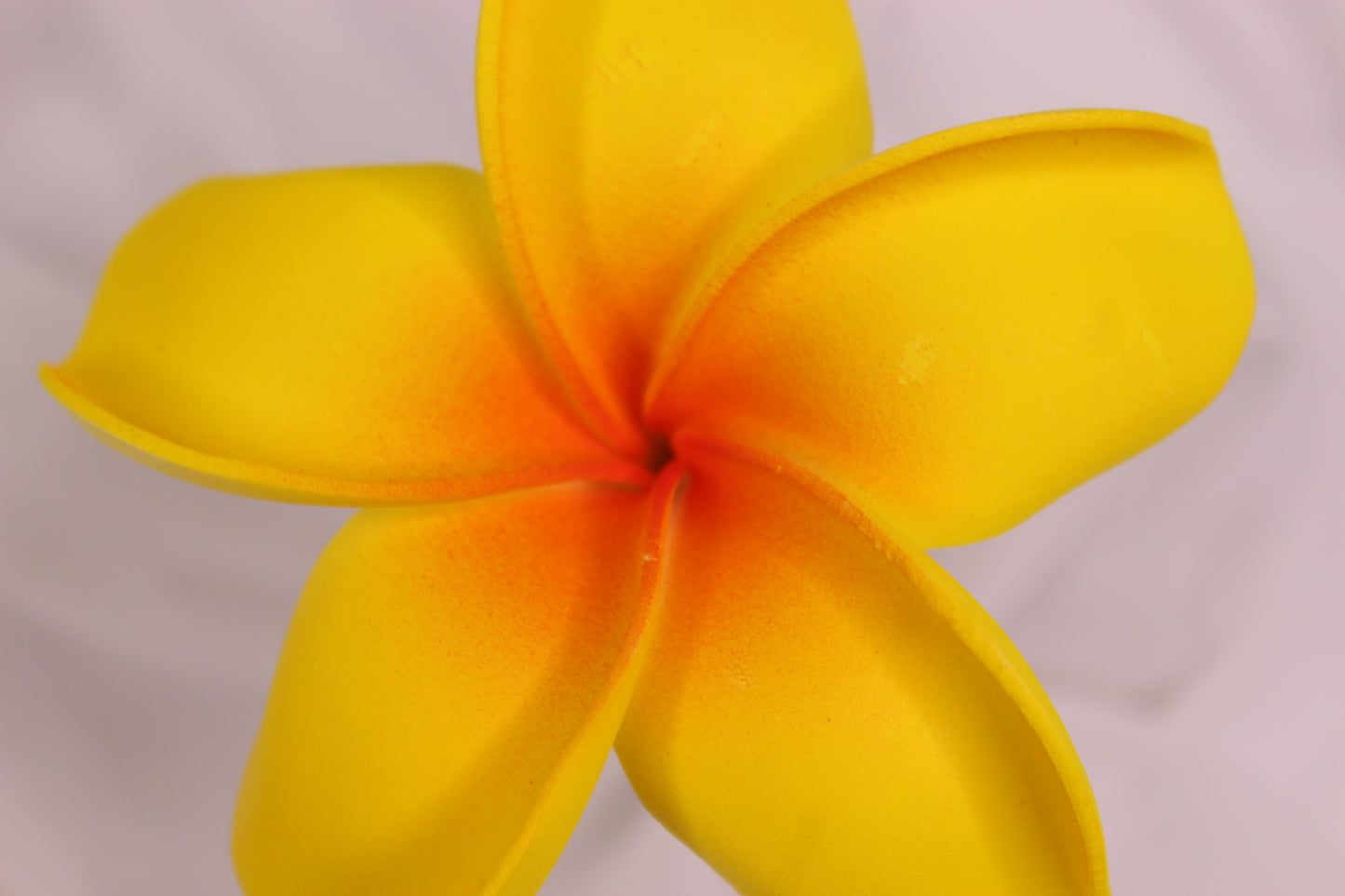 Tropical Sunrise Frangipani Real Touch ( 6 Pack ) - Realistic Artifical Flowers