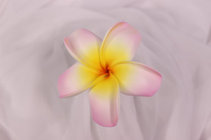 Soft Pink and Yellow Frangipani Real Touch ( 6 Pack ) - Realistic Artifical Flowers