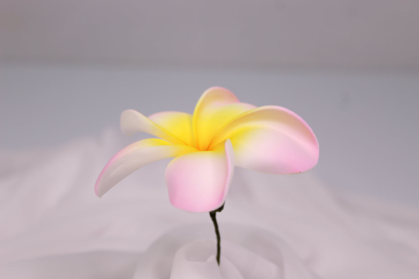 Soft Pink and Yellow Frangipani Real Touch ( 6 Pack ) - Realistic Artifical Flowers