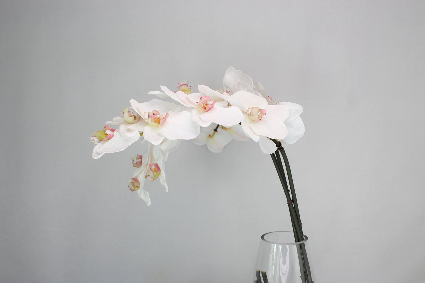 Phalaenopsis Stem - Realistic Artificial Flowers