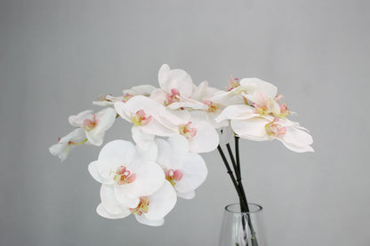 Phalaenopsis Stem - Realistic Artificial Flowers