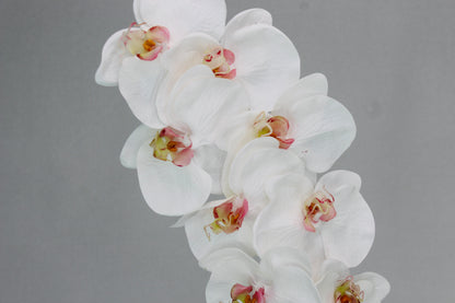 Phalaenopsis Stem - Realistic Artificial Flowers