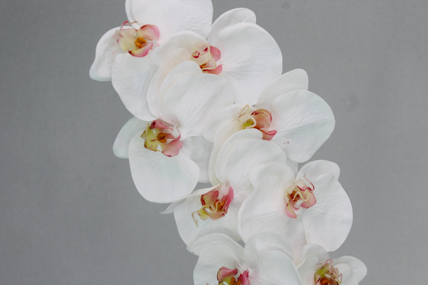 Phalaenopsis Stem - Realistic Artificial Flowers