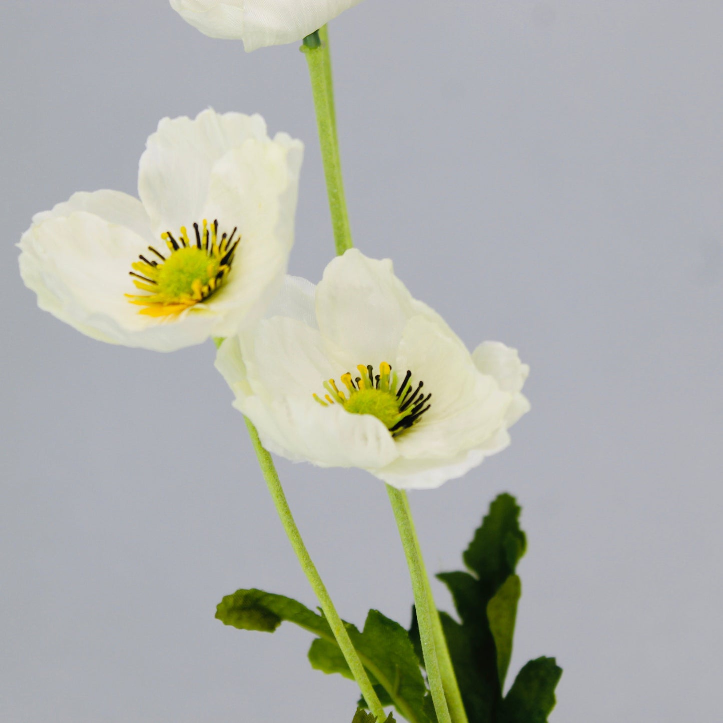 White Poppies - Realistic Artificial Flowers