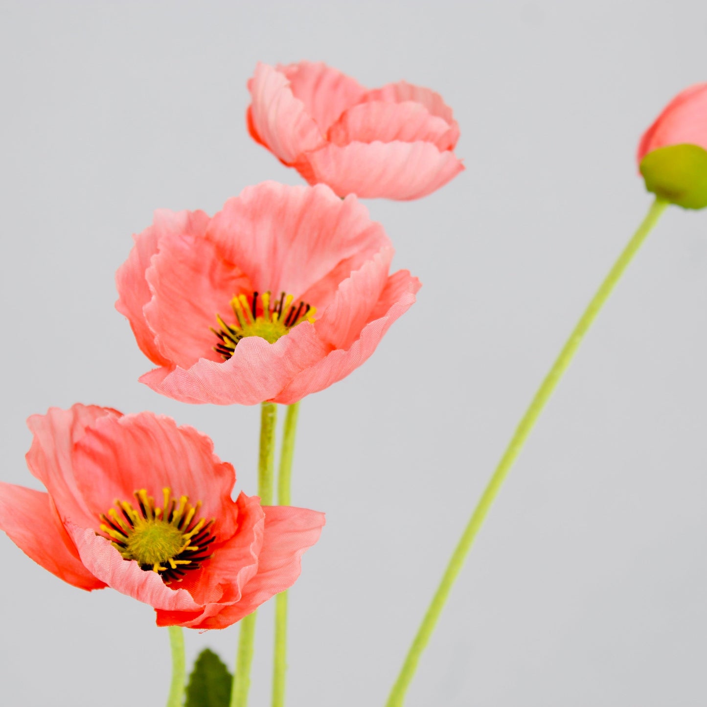 Peach Poppies - Realistic Artificial Flowers