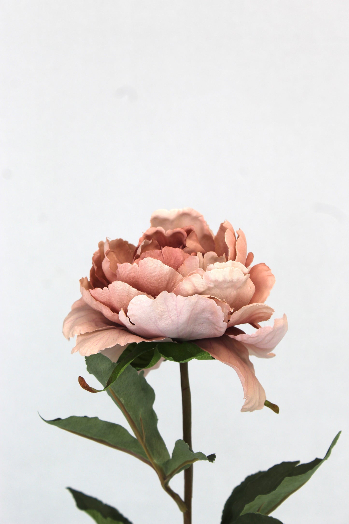 Dusty Pink Silk Touch Peony Stem - Realistic Artificial Flowers