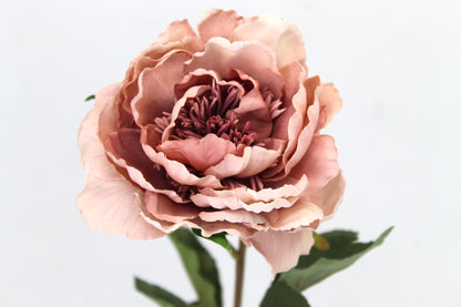 Dusty Pink Silk Touch Peony Stem - Realistic Artificial Flowers