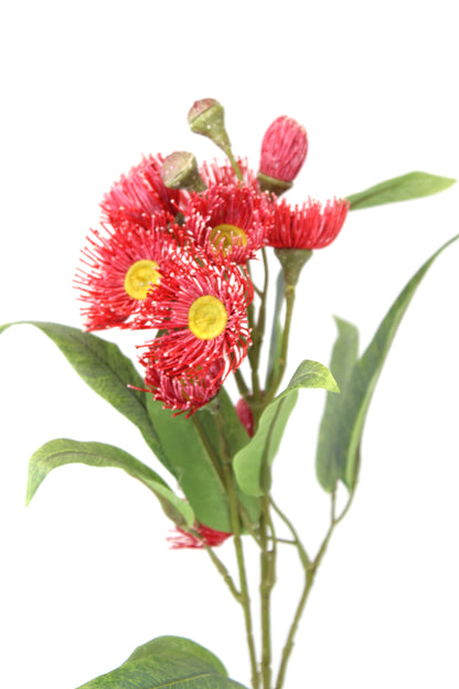 Dark Pink Gum Blossom Stem - Realistic Artificial Flowers