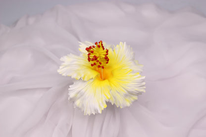 White and Yellow Hibiscus Real Touch Flowerhead ( 6 Pack ) - Realistic Artificial Flowers