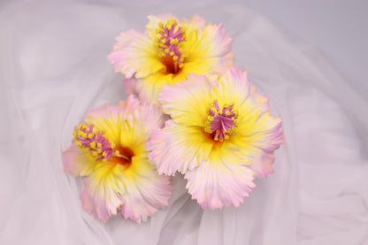 Pink and yellow Hibiscus Real Touch Flowerhead ( 6 Pack )- Realistic Artificial Flowers