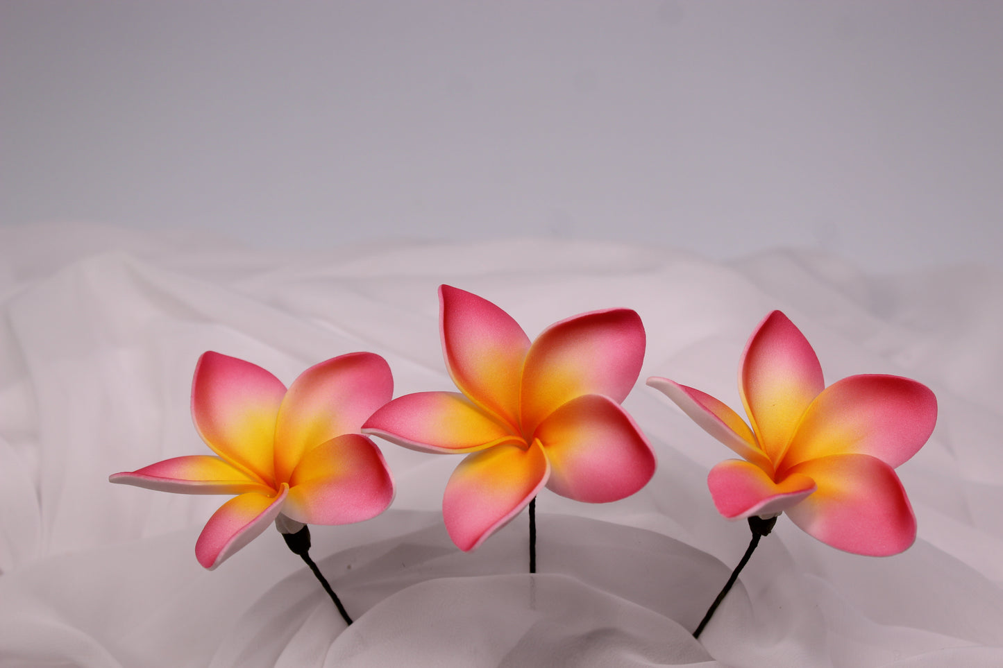 Sunrise Glow Frangipani Real Touch ( 6 Pack ) - Realistic Artifical Flowers