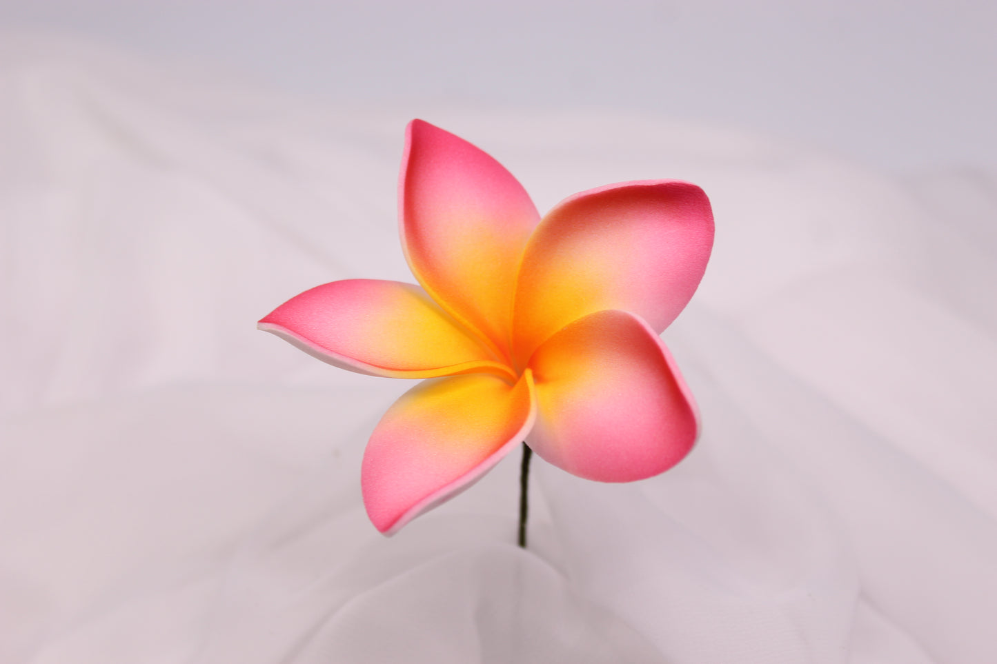 Sunrise Glow Frangipani Real Touch ( 6 Pack ) - Realistic Artifical Flowers