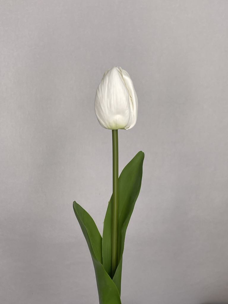 White Tulip Real Touch Bud and Bloom