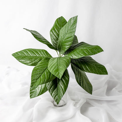 artificial gardenia leaves placed in clear glass vase top view