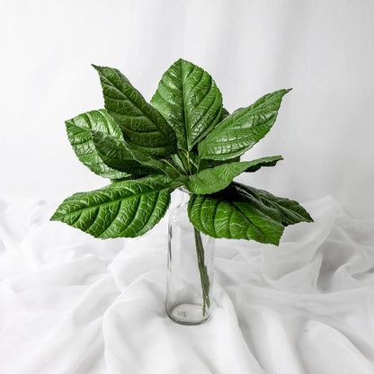 artificial green hydrangea leaves placed in clear transparent glass