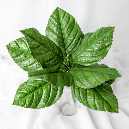 artificial green hydrangea leaves placed in clear transparent glass