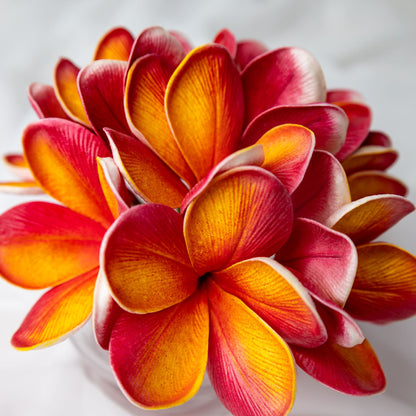 artificial tropical frangipani flowers placed in transparent glass vase