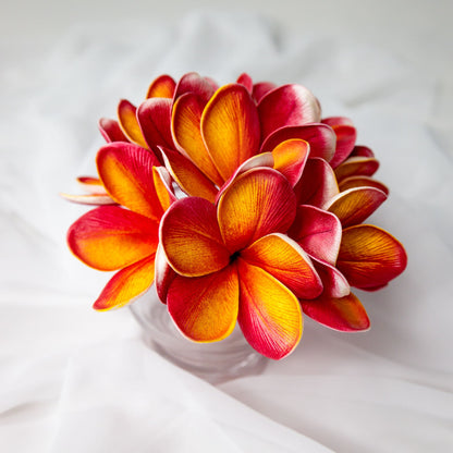 artificial tropical frangipani flowers placed in transparent glass vase