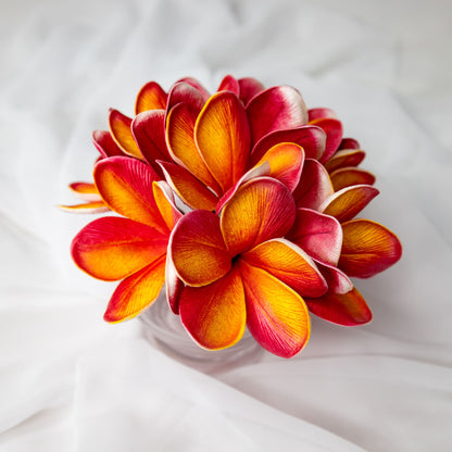 artificial tropical frangipani flowers placed in transparent glass vase